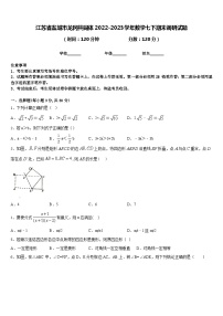 江苏省盐城市龙冈共同体2022-2023学年数学七下期末调研试题含答案