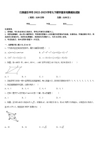 江西省乐平市2022-2023学年七下数学期末经典模拟试题含答案