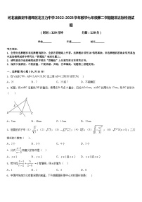 河北省保定市清苑区北王力中学2022-2023学年数学七年级第二学期期末达标检测试题含答案