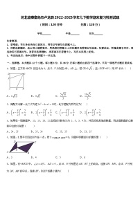 河北省秦皇岛市卢龙县2022-2023学年七下数学期末复习检测试题含答案