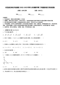 河北省石家庄市藁城区2022-2023学年七年级数学第二学期期末复习检测试题含答案