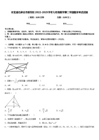 河北省石家庄市新华区2022-2023学年七年级数学第二学期期末考试试题含答案