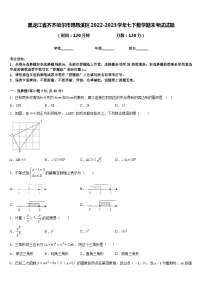 黑龙江省齐齐哈尔市昂昂溪区2022-2023学年七下数学期末考试试题含答案