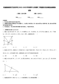 河南临颍新时代实验学校2022-2023学年数学七年级第二学期期末质量跟踪监视模拟试题含答案