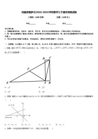 河南洛阳伊川2022-2023学年数学七下期末预测试题含答案