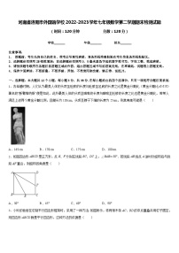 河南省洛阳市外国语学校2022-2023学年七年级数学第二学期期末检测试题含答案