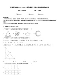 河南省汤阴县2022-2023学年数学七下期末质量检测模拟试题含答案