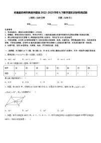 河南省郑州市枫杨外国语2022-2023学年七下数学期末达标检测试题含答案