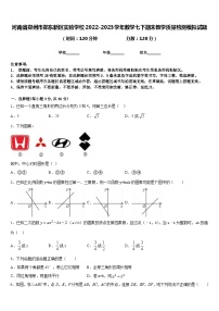 河南省郑州市郑东新区实验学校2022-2023学年数学七下期末教学质量检测模拟试题含答案