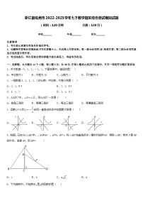 浙江省杭州市2022-2023学年七下数学期末综合测试模拟试题含答案