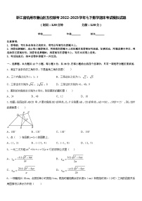 浙江省杭州市萧山区五校联考2022-2023学年七下数学期末考试模拟试题含答案