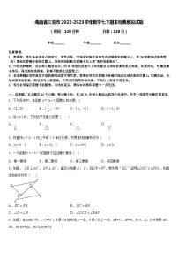 海南省三亚市2022-2023学年数学七下期末经典模拟试题含答案