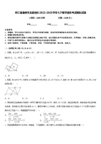 浙江省温州市龙港地区2022-2023学年七下数学期末考试模拟试题含答案