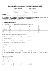 海南省海口市美兰区2022-2023学年七下数学期末质量检测试题含答案