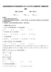 湖北省恩施州利川市长坪民族初级中学2022-2023学年七年级数学第二学期期末检测试题含答案