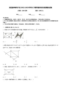 湖北省孝感市八校2022-2023学年七下数学期末综合测试模拟试题含答案