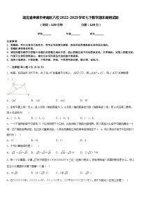 湖北省孝感市孝南区八校2022-2023学年七下数学期末调研试题含答案