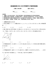 湖北省宣恩县2022-2023学年数学七下期末检测试题含答案