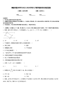 渭南市重点中学2022-2023学年七下数学期末综合测试试题含答案