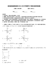 湖北省恩施州宣恩县2022-2023学年数学七下期末达标检测试题含答案