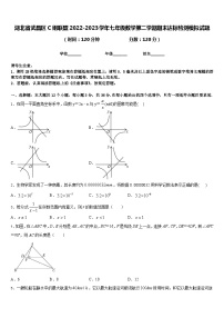 湖北省武昌区C组联盟2022-2023学年七年级数学第二学期期末达标检测模拟试题含答案