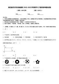 湖北省武汉市东湖高新区2022-2023学年数学七下期末联考模拟试题含答案