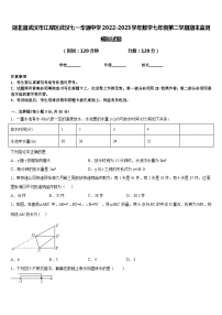 湖北省武汉市江岸区武汉七一华源中学2022-2023学年数学七年级第二学期期末监测模拟试题含答案