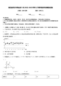 湖北省武汉市青山区5月2022-2023学年七下数学期末检测模拟试题含答案