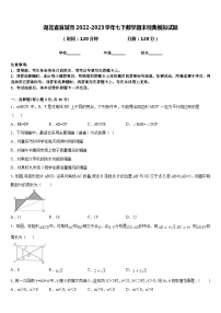 湖北省宜城市2022-2023学年七下数学期末经典模拟试题含答案