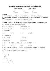 湖北省武汉市武昌区2022-2023学年七下数学期末监测试题含答案