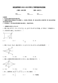 湖北省枣阳市2022-2023学年七下数学期末考试试题含答案