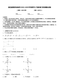 湖北省黄冈市麻城市2022-2023学年数学七下期末复习检测模拟试题含答案