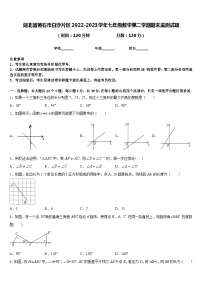 湖北省黄石市白沙片区2022-2023学年七年级数学第二学期期末监测试题含答案