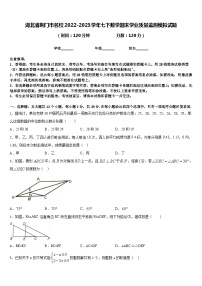 湖北省荆门市名校2022-2023学年七下数学期末学业质量监测模拟试题含答案