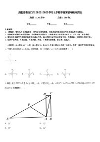 湖北省老河口市2022-2023学年七下数学期末联考模拟试题含答案