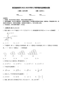 湖北省麻城市2022-2023学年七下数学期末监测模拟试题含答案