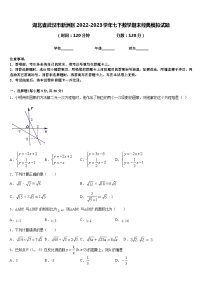 湖北省武汉市新洲区2022-2023学年七下数学期末经典模拟试题含答案