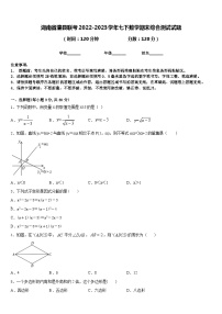 湖南省澧县联考2022-2023学年七下数学期末综合测试试题含答案