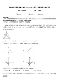 湖南省武汉市常青第一学校2022-2023学年七下数学期末考试试题含答案