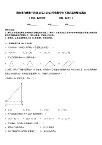 湖南省永州市宁远县2022-2023学年数学七下期末监测模拟试题含答案