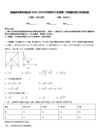 湖南省岳阳市君山区2022-2023学年数学七年级第二学期期末复习检测试题含答案