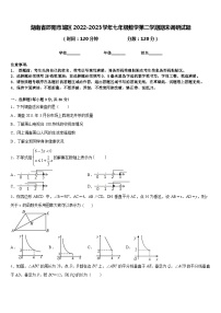 湖南省邵阳市城区2022-2023学年七年级数学第二学期期末调研试题含答案