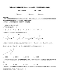 湖南省长沙青雅丽发中学2022-2023学年七下数学期末经典试题含答案