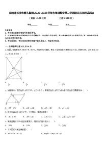 湖南省长沙市雅礼集团2022-2023学年七年级数学第二学期期末达标测试试题含答案