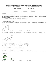 湖南省长沙市雅礼教育集团2022-2023学年数学七下期末检测模拟试题含答案