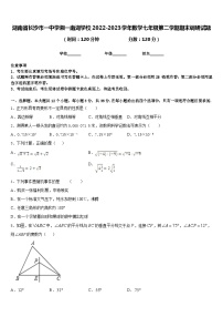 湖南省长沙市一中学湘一南湖学校2022-2023学年数学七年级第二学期期末调研试题含答案