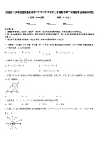 湖南省长沙市雨花区雅礼中学2022-2023学年七年级数学第二学期期末统考模拟试题含答案