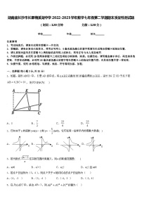 湖南省长沙市长郡梅溪湖中学2022-2023学年数学七年级第二学期期末质量检测试题含答案