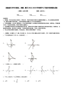 湖南省长沙市长雅实、西雅、雅洋2022-2023学年数学七下期末检测模拟试题含答案