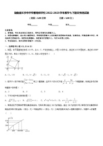 湖南省长沙市中学雅培粹学校2022-2023学年数学七下期末预测试题含答案